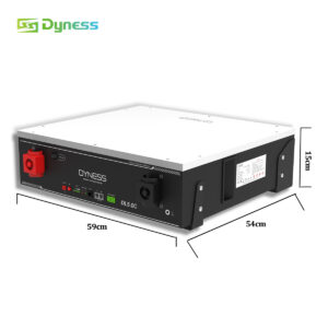 Dyness baterija zemos itampos kaupiklis akumuliatorius DL5.0C
