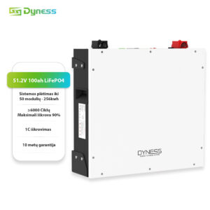 Dyness baterija zemos itampos kaupiklis akumuliatorius DL5.0C